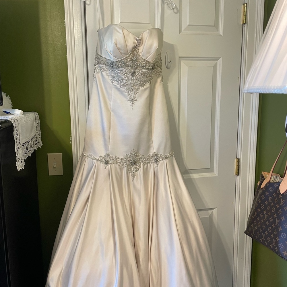 Elegant oyster colored gown with silver embroidery , size 14 !